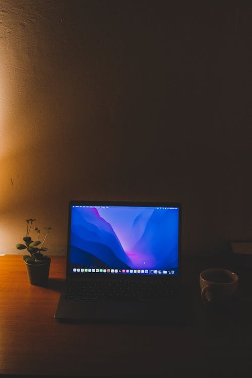 Web Development Learning Path - Frontend to Backend Journey